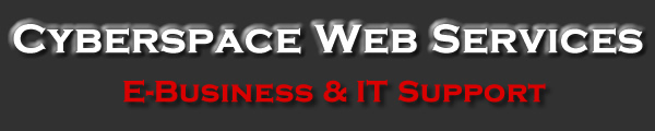 Cyberspace Web Services - E-Business & IT Support